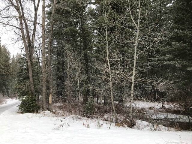 3 Allen Rd unit 69, Cascade, ID 83611 - photo 1