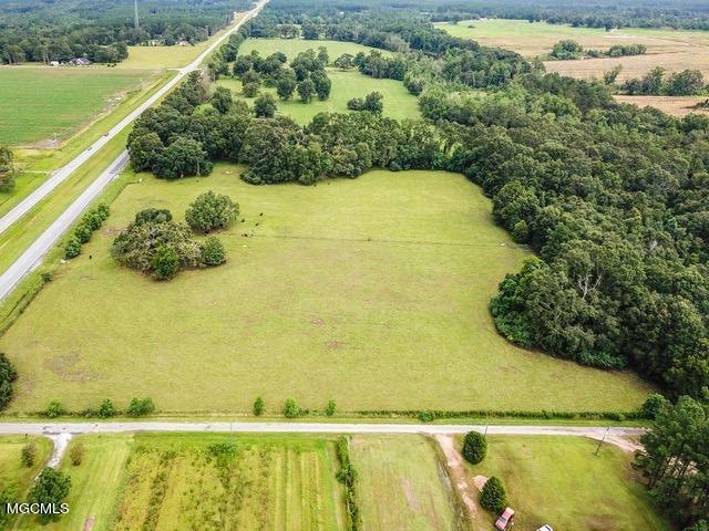40.14 Ac Hwy 63, Lucedale, MS 39452 - photo 1
