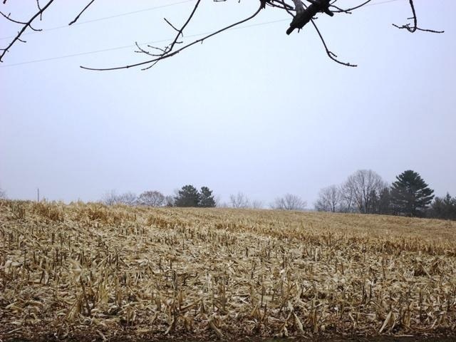 0 Ivy Ave unit 1675348, Oakdale, WI 54618 - photo 1