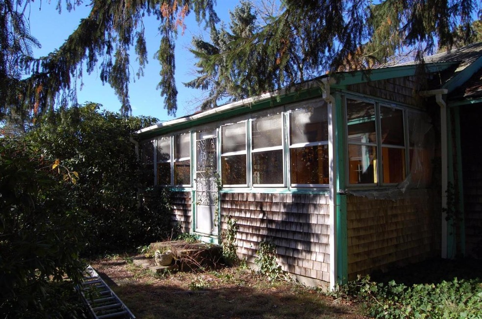 Primary Photo