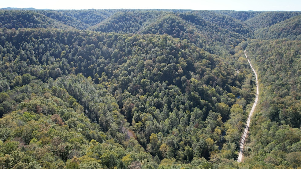 Quicksand Creek Rd, Lambric, KY 41339 - photo 1