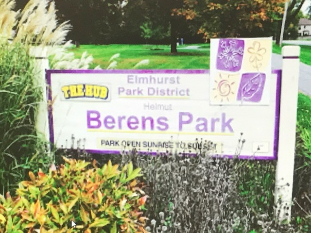 462 N Ida Ln, Elmhurst, IL 60126 - photo 1