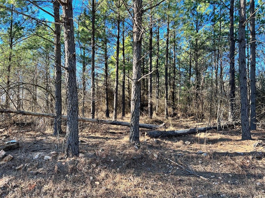 538 Lukfata Fork Trail, Broken Bow, OK 74728 - photo 1