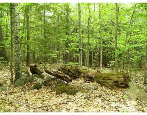 Land/Lot.