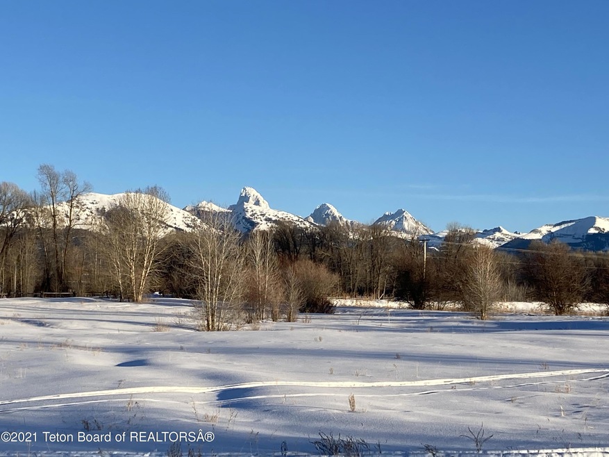 Teton View