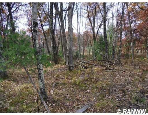 0 Fish Lake Rd unit 895470, Siren Township, WI 54872 - photo 1