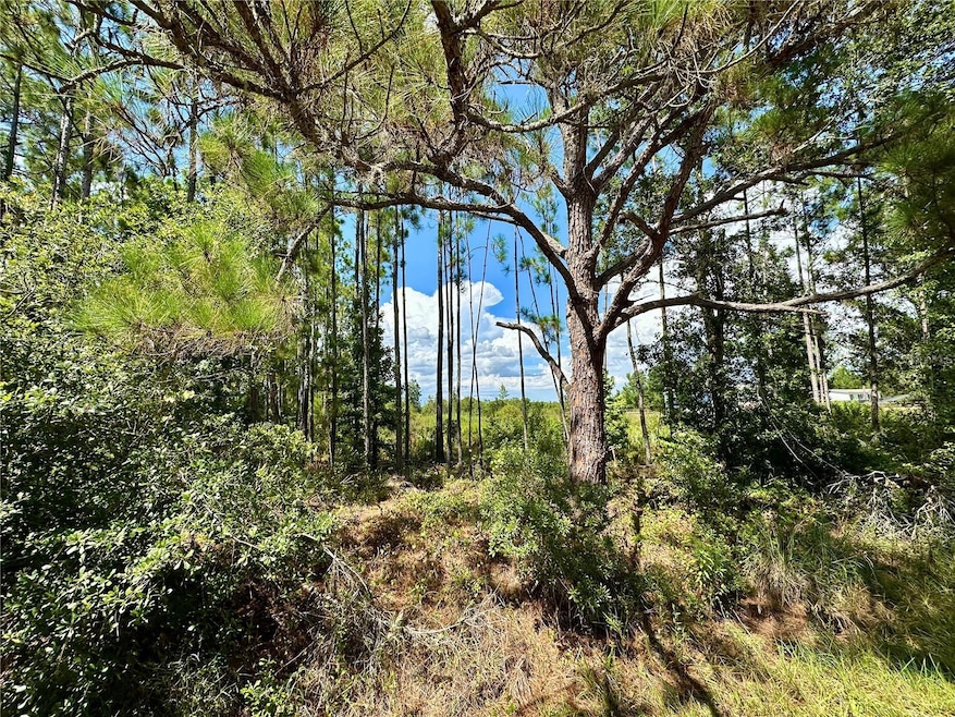 0 Oil Well Rd unit MFRG5100577, Clermont, FL 34714 - photo 1