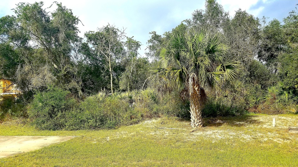 3474 Joe Murell Dr lot