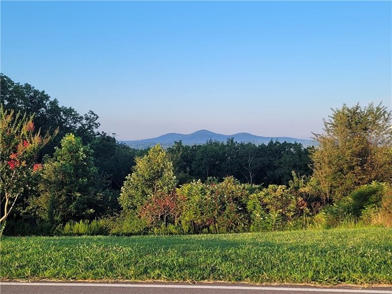 This will be your view from the back of the house.