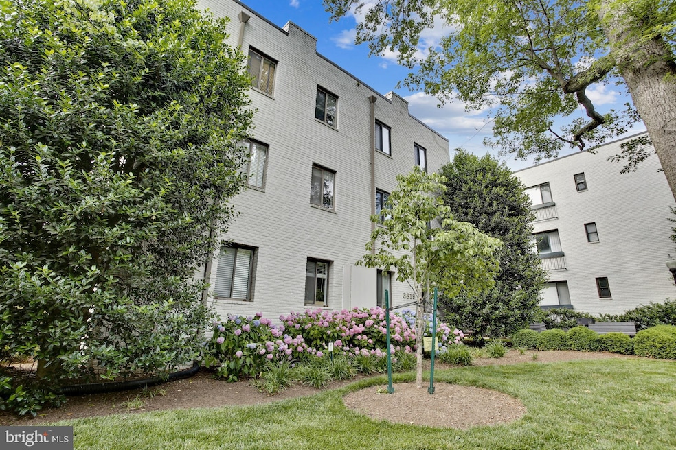 3819 Davis Place NW unit 2, Washington, DC 20007 - photo 1