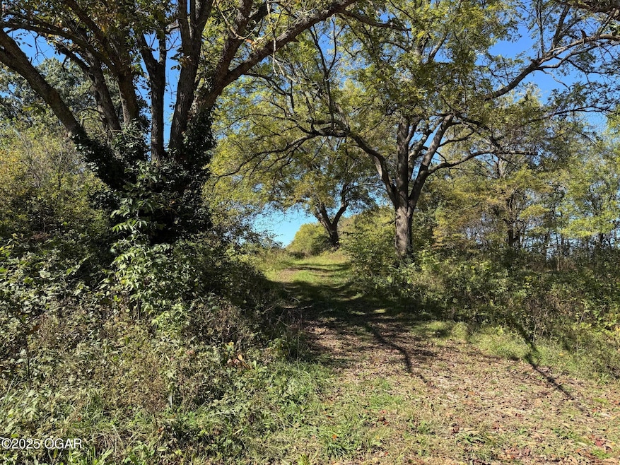 Xxx-B Teal Dr, Newtonia, MO 64853 - photo 1