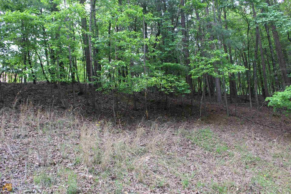 0 Bowline unit LT 96, Ellijay, GA 30540 - photo 1