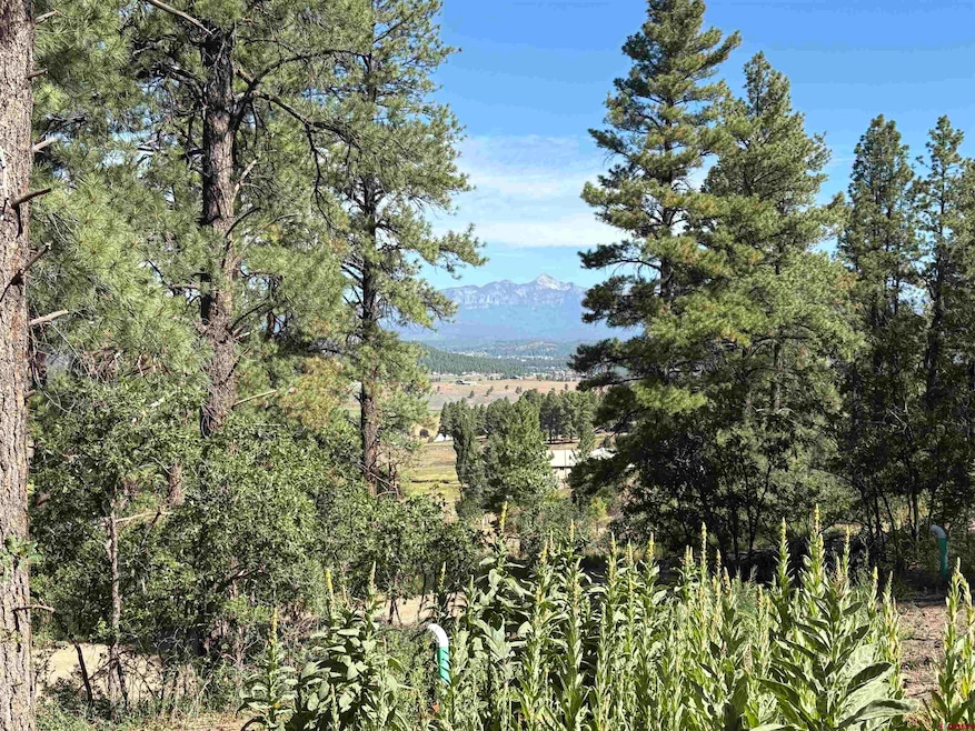 599 Pineview Rd, Pagosa Springs, CO 81147 - photo 1
