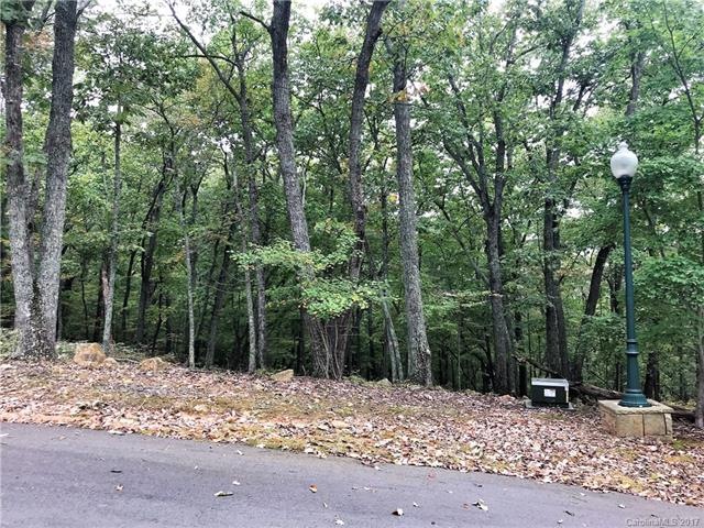 Looking at your new lot on Cascading Creek Trail!