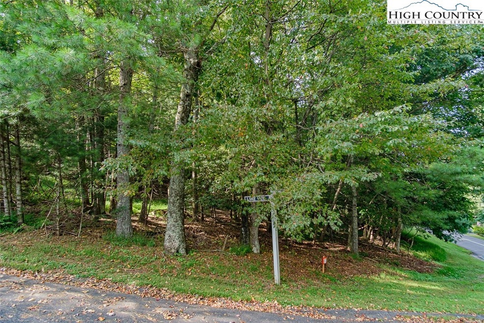 Great corner building lot - priced below tax value