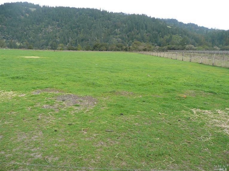 8251 Whipple Ridge Rd, Philo, CA 95466 - photo 1
