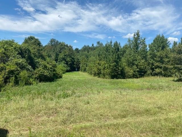 266 Edgar Holmes Rd, Tylertown, MS 39667 - photo 1