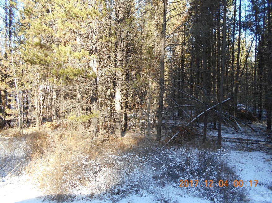 Primary Photo
