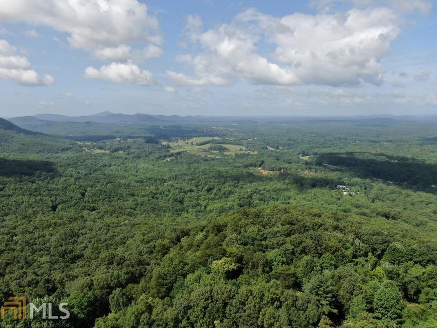 123 Bald Eagle Path, Cleveland, GA 30528 - photo 1