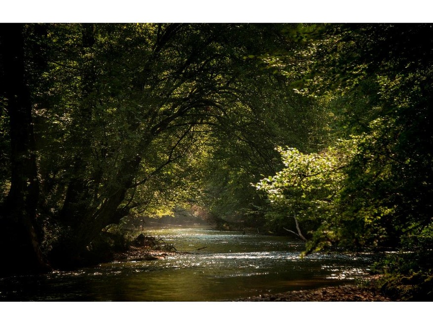 over 1 mile of this beautiful Etowah River frontag
