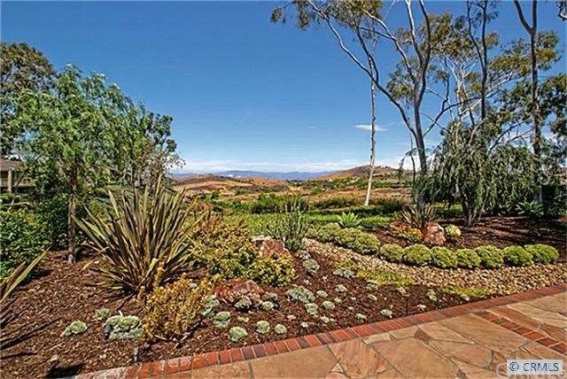 Spectacular view of Shady Canyon and Strawberry Fa