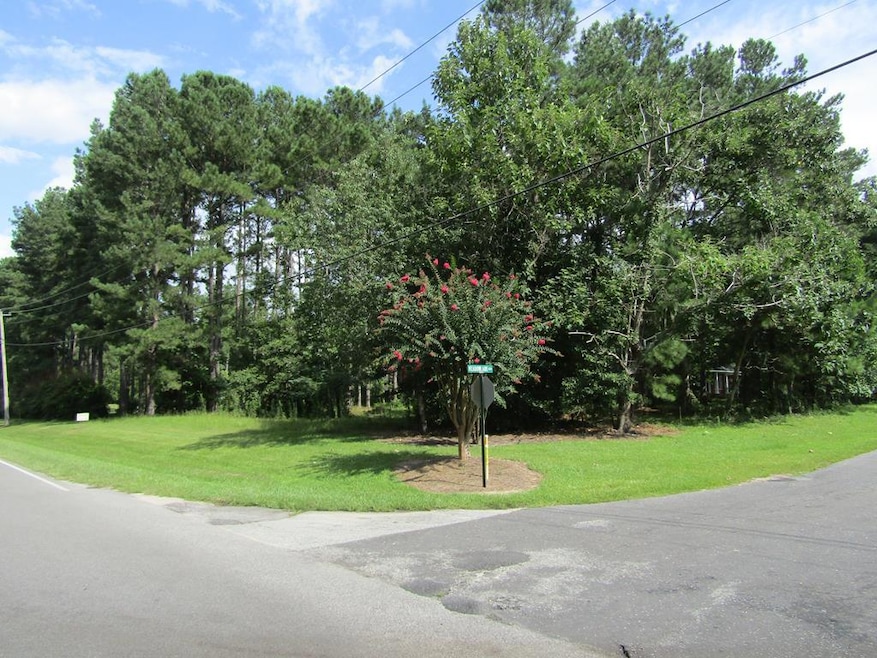 0 W Roanoke Dr Extension, Fitzgerald, GA 31750 - photo 1