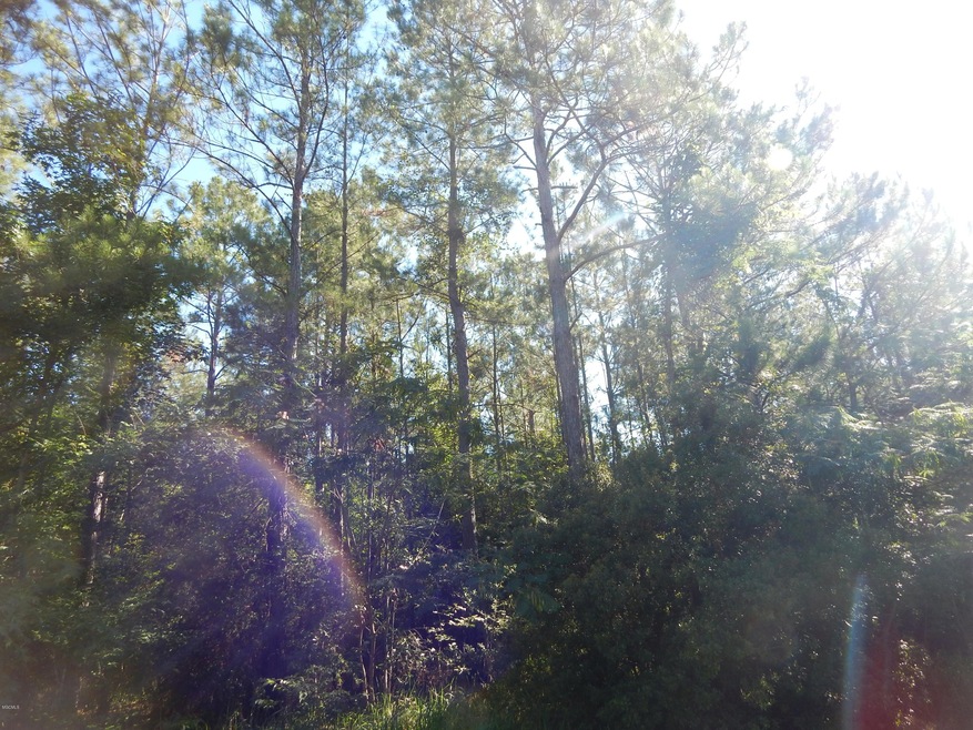 Lot 7 Blue Lakes Rd, Lucedale, MS 39452 - photo 1