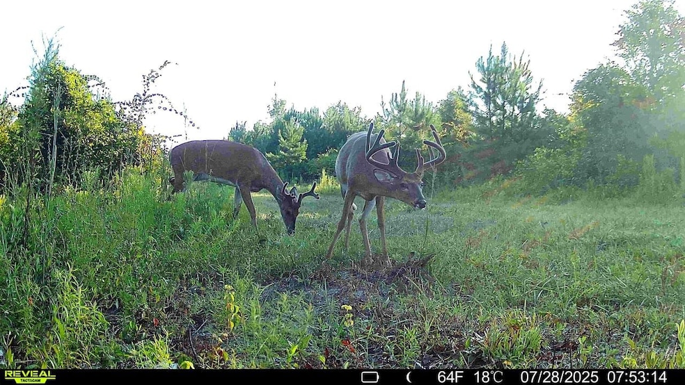 0 Fish Rd, Eastman, GA 31023 - photo 1