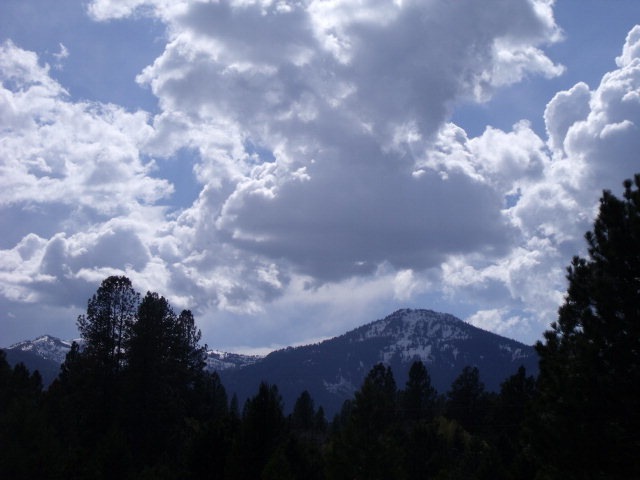 Main View