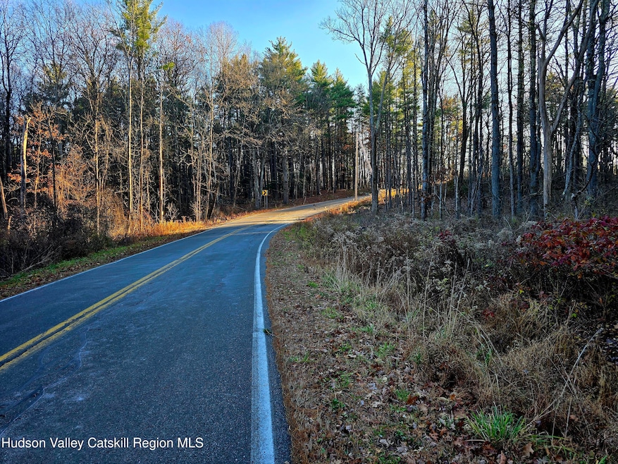 Lot 10 County Road 51, New Baltimore, NY 12124 - photo 1