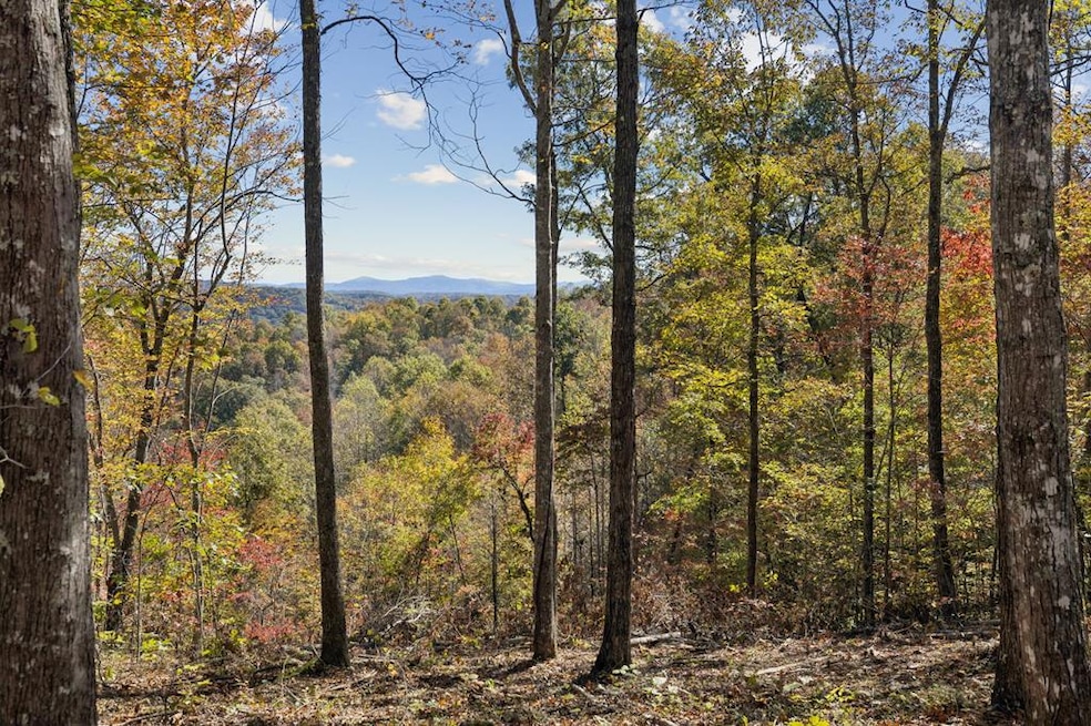 Tract 7 Sheep Ranch Rd, Robbins, TN 37852 - photo 1
