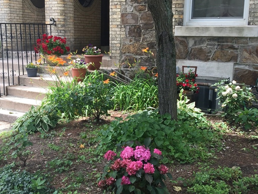 318 Tappan St unit 3 FURNISHED, Brookline, MA 02445 - photo 1