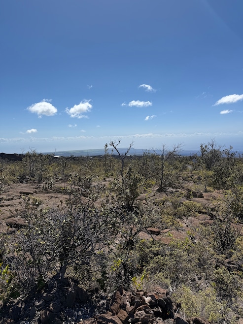 Beautiful spot on the slopes of Mauna Loa.