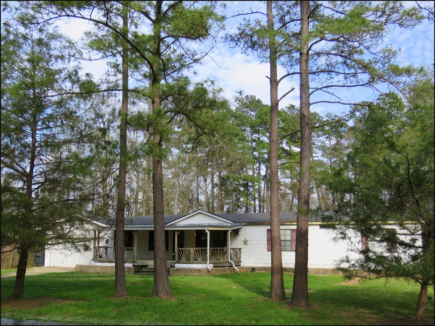 33002 Bear Branch Ln, Magnolia, TX 77354 - photo 1