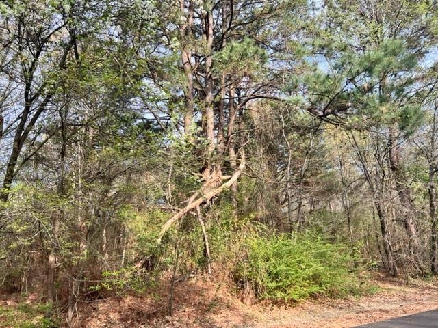 Lot 13 Heather Dr, Texarkana, TX 75501 - photo 1