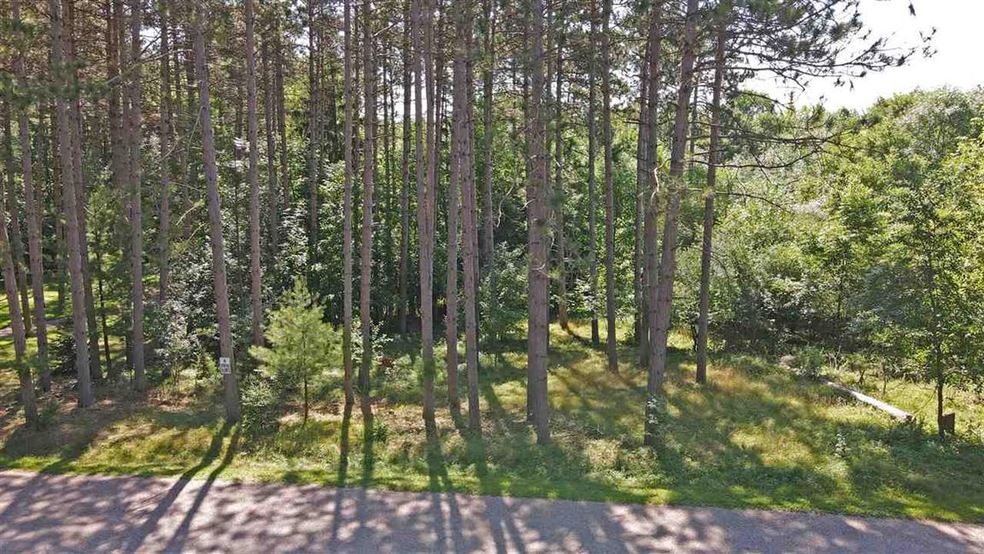 0 Lamp Lighter Ln, Waupaca, WI 54981 - photo 1