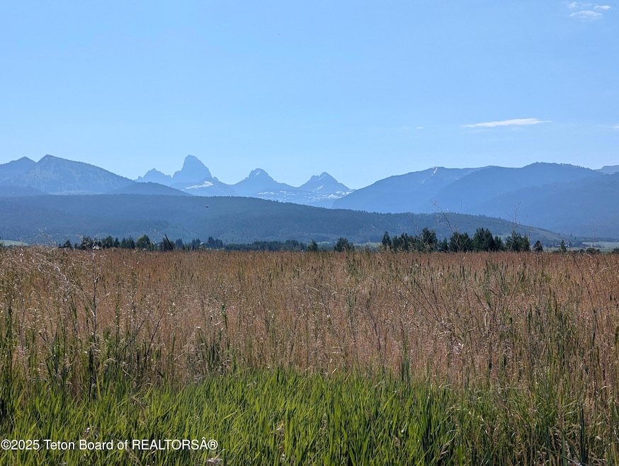 1 Teton View