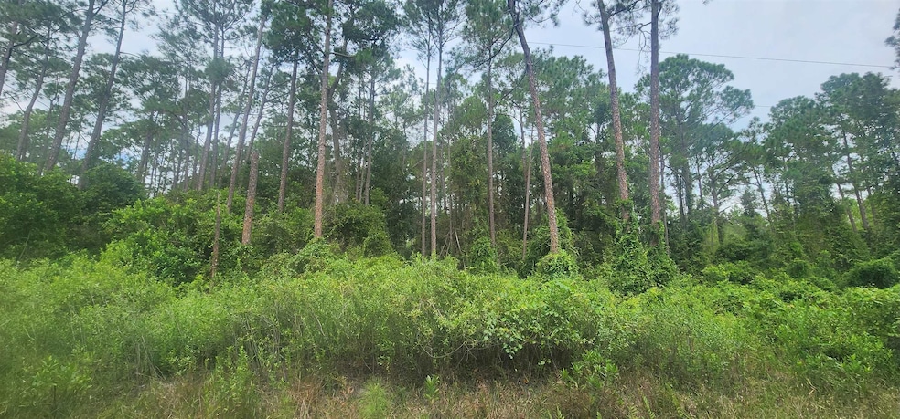 220 2nd St, Georgetown Cove, FL 32139 - photo 1