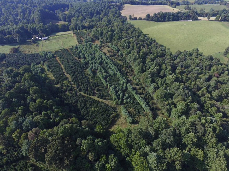 DJI_0010