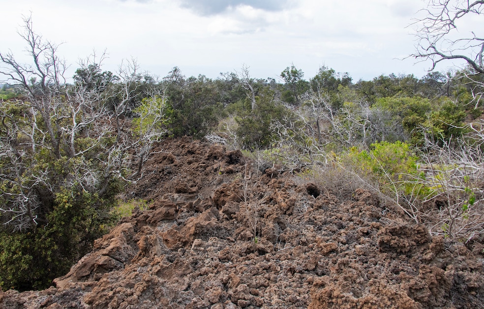 This is a low-density subdivision known for large parcels