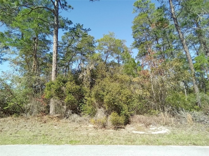 9000 N Lansen Way, Citrus Springs, FL 34433 - photo 1