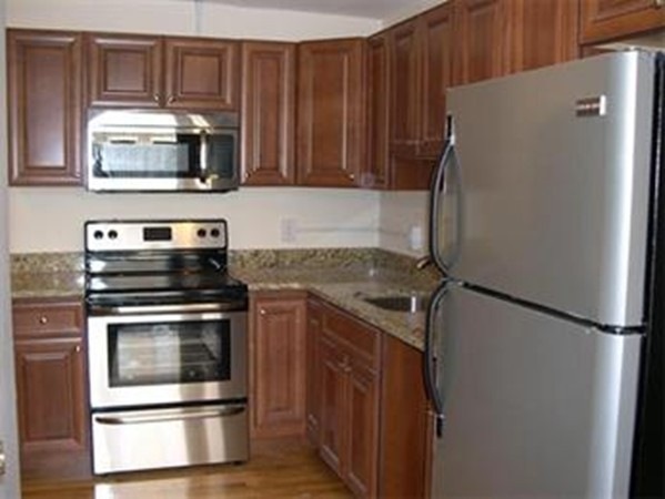 24 Peterborough St unit A, Boston, MA 02215 - photo 1