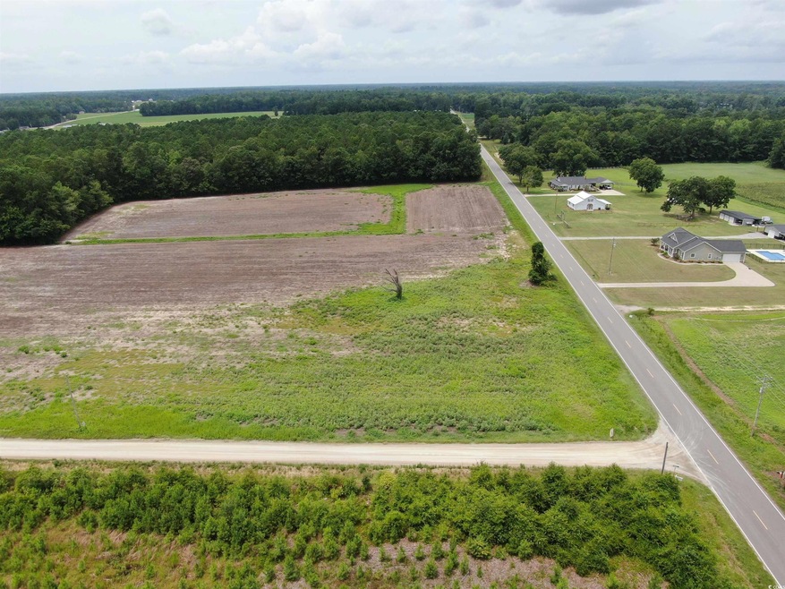 TBD Highway 308 unit Lot 1, Galivants Ferry, SC 29544 - photo 1