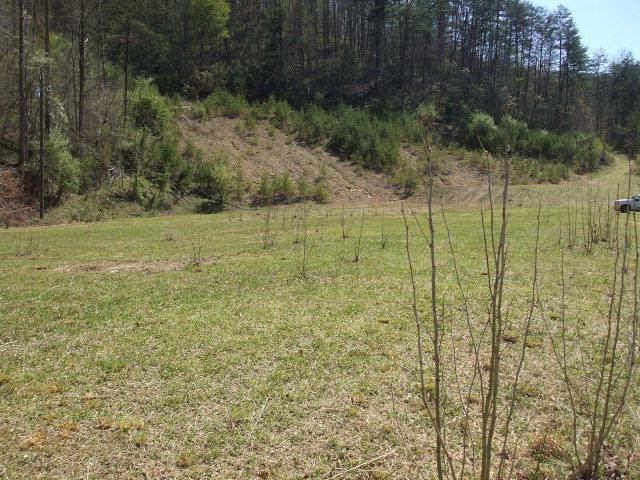 Main View
