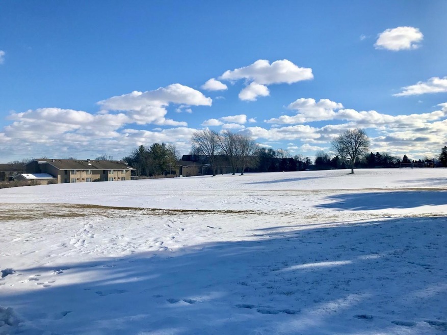 Lt 0 Douglas Dr Southeast view