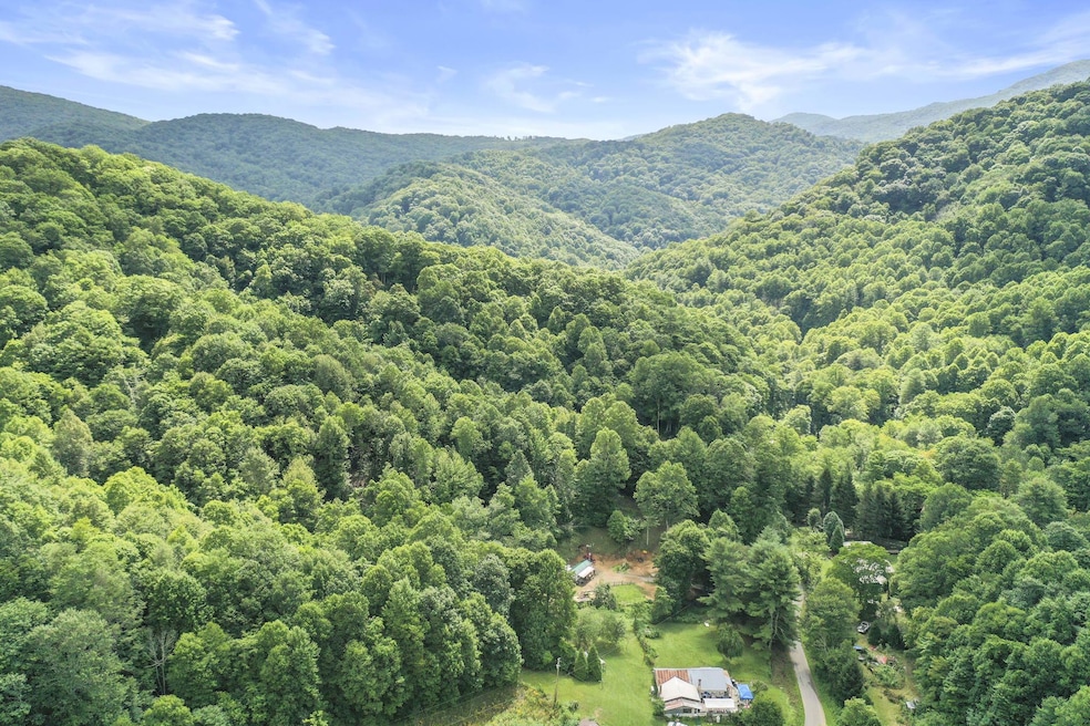 TBD Clarktown road Roan Mountain TN (11)