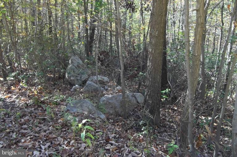 0 Johnny Cake Rd unit 1004197136, Great Cacapon, WV 25422 - photo 1