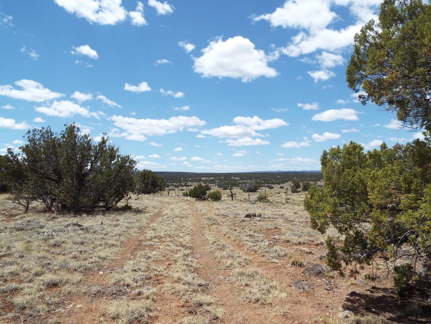 Looking SW from NW corner