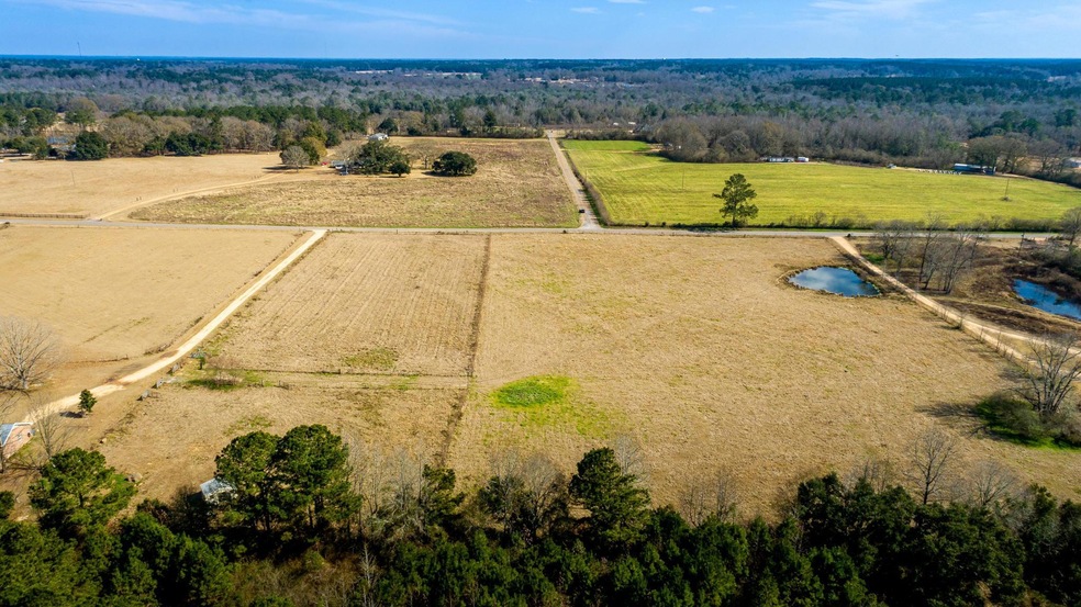 Drone View-5