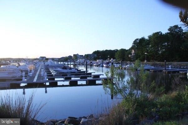 29664 Colony Dr unit C14, Dagsboro, DE 19939 - photo 1